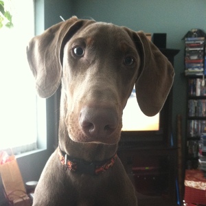 Fundraising Page: Linda Matons